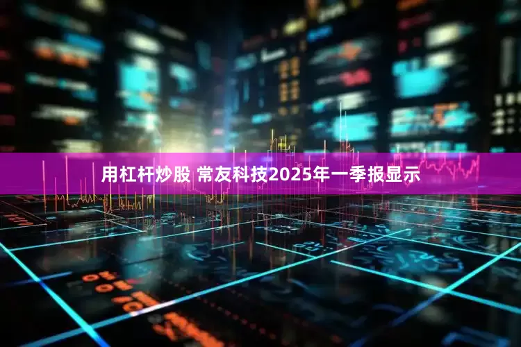 用杠杆炒股 常友科技2025年一季报显示